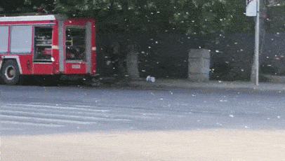 又到一年飞絮时！2023杨柳絮预警地图 来了 这些地方将进入高发期