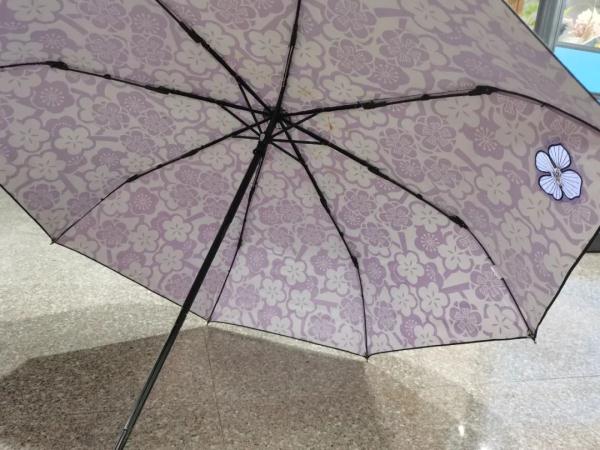 雨季多发！福州6岁男孩眼睛受伤！这东西你家也有！