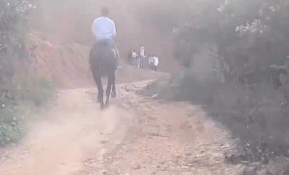 男子路上“策马奔腾”,潇洒一回代价太大 男子路上“策马奔腾”,潇洒一回代价太大