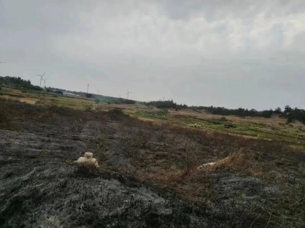 广东惠来县一女子扫墓烧纸引发山火被行拘 广东惠来县一女子扫墓烧纸引发山火被行拘