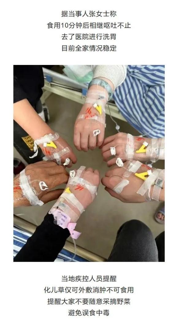 警惕！一家6口扫完墓集体中毒