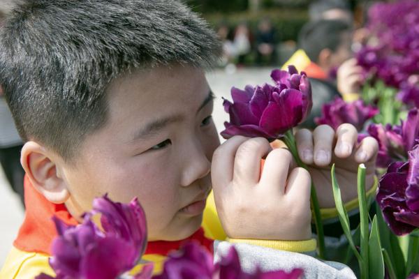 四季中国丨触摸春天：我们“看见”了自然的美好