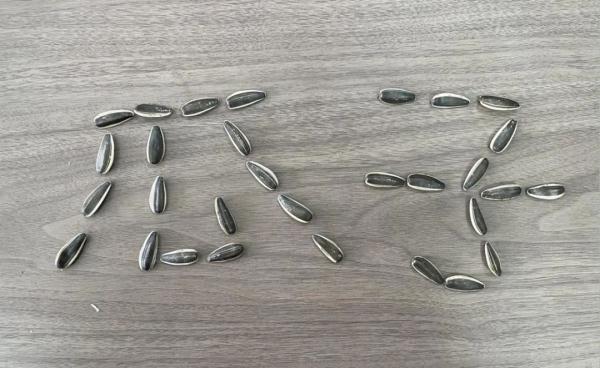 男子被瓜子壳扎手险丧命,只因这个动作!不少人会做