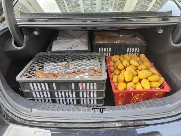 骗子冒充消防人员采购物资,贵州一水果店差点被骗! 骗子冒充消防人员采购物资,贵州一水果店差点被骗!