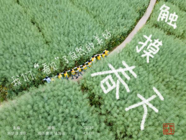四季中国丨触摸春天：我们“看见”了自然的美好