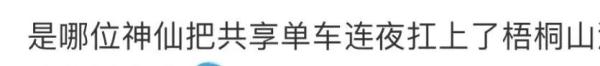 哪位“大佬”把共享单车扛到梧桐山顶？网友：是个人才