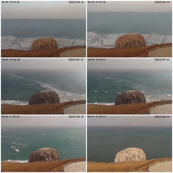 青海湖4月5日正式开湖！比去年推迟16天