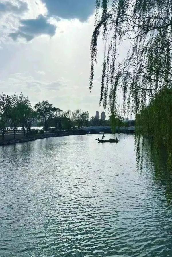 就在明天！天津市首届牡丹文化节！约吗？