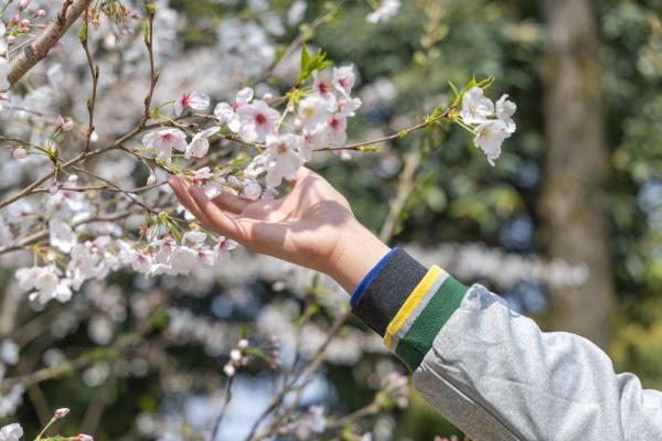 四季中国丨触摸春天：我们“看见”了自然的美好
