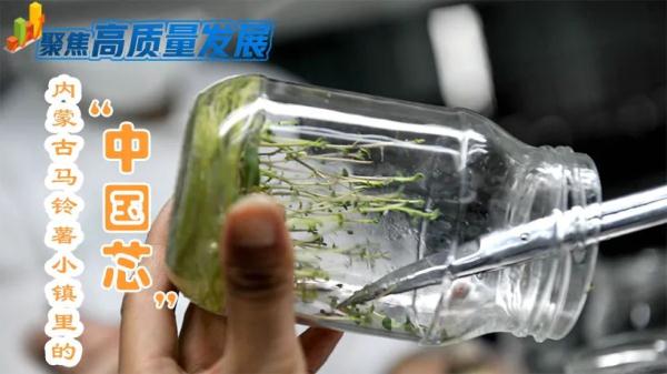 央媒聚焦内蒙古｜马铃薯小镇里的“中国芯”