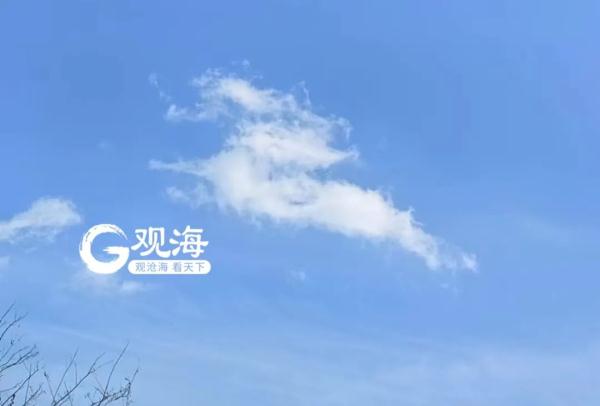 青岛上空“白龙”出没？超多美图上新，来看→