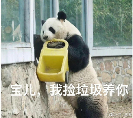 萌兰再现经典一字马