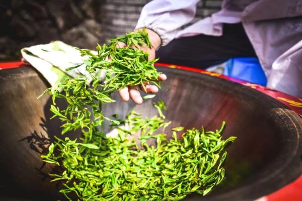 又要降价了！一夜跌破每斤500元