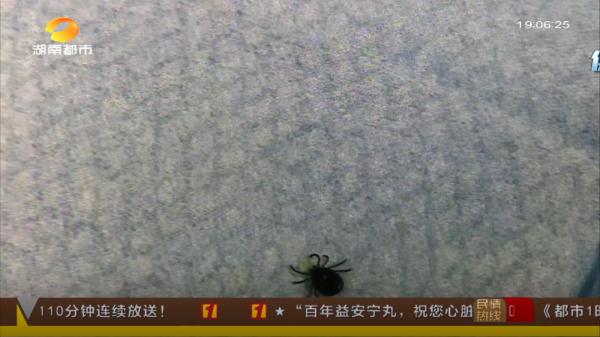 湖南疾控最新提醒：严重可致命！此地已发现......