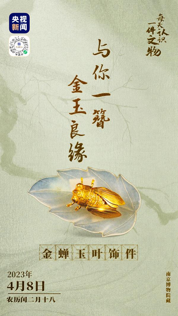 这件“金蝉玉叶”，原来是明代潮流单品