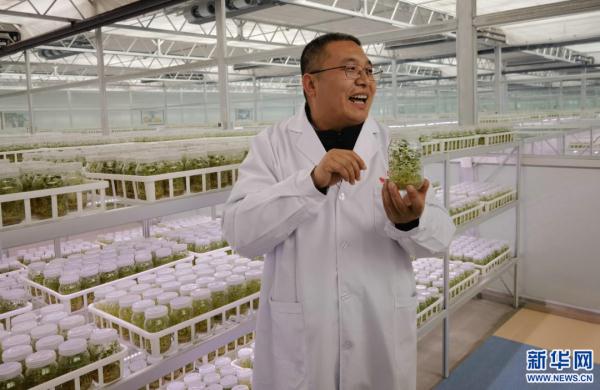 央媒聚焦内蒙古｜马铃薯小镇里的“中国芯”