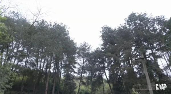 贵阳黄色粉尘“泛滥” !到底是个啥? 贵阳黄色粉尘“泛滥” !到底是个啥?