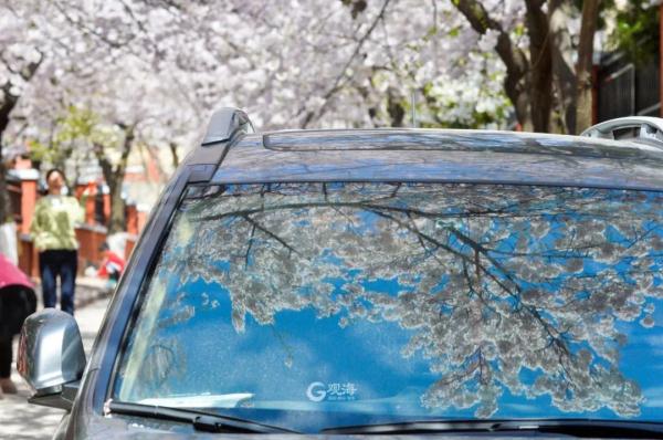 青岛上空“白龙”出没？超多美图上新，来看→