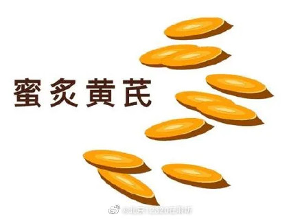 生黄芪和炙黄芪有什么区别? 生黄芪和炙黄芪有什么区别?