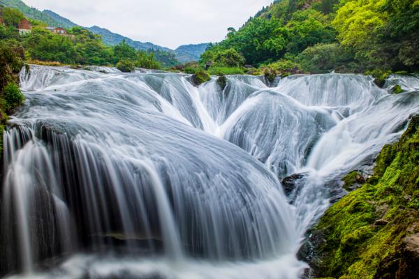 吃烧烤、看大熊猫、玩转大湾区……这些专列，你爱了吗→