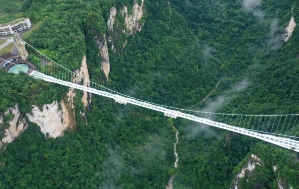 吃烧烤、看大熊猫、玩转大湾区……这些专列，你爱了吗→