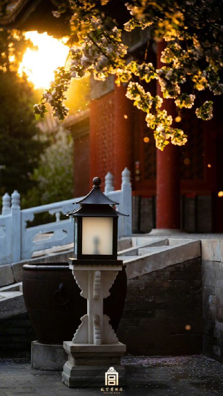 落英缤纷！故宫春天里下起了海棠花雨