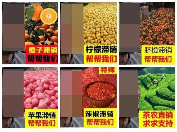 带货可以,骗人不行 带货可以,骗人不行