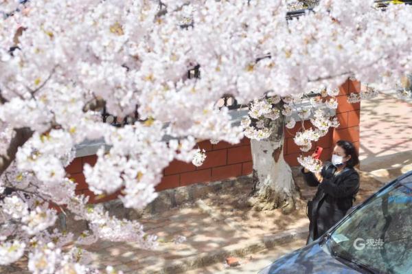 青岛上空“白龙”出没？超多美图上新，来看→