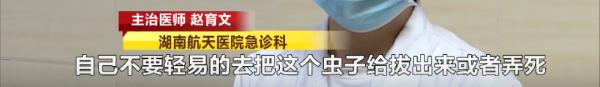湖南疾控最新提醒：严重可致命！此地已发现......