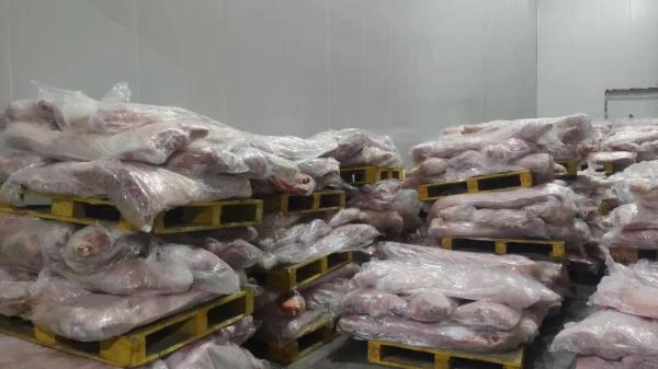 已全部入库到位！兰州市100吨政府猪肉临时储备任务完成