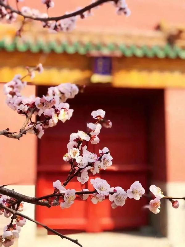 4月10日起，沈阳故宫周一不闭馆啦