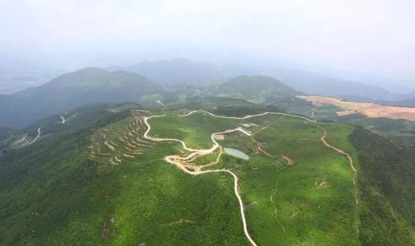 又要降价了！一夜跌破每斤500元