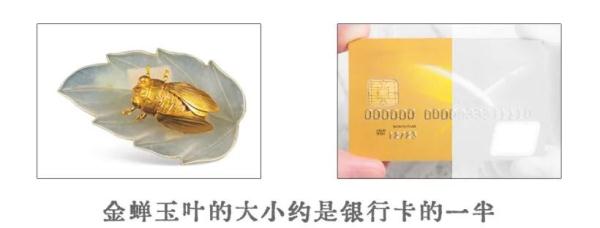 这件“金蝉玉叶”，原来是明代潮流单品