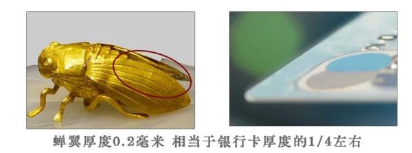这件“金蝉玉叶”，原来是明代潮流单品