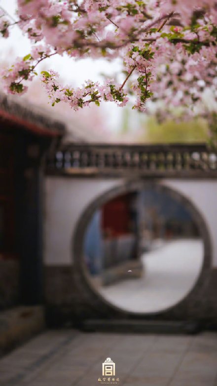 落英缤纷！故宫春天里下起了海棠花雨