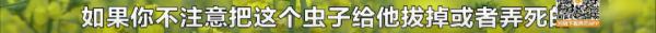 湖南疾控最新提醒：严重可致命！此地已发现......