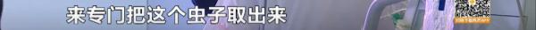 湖南疾控最新提醒：严重可致命！此地已发现......