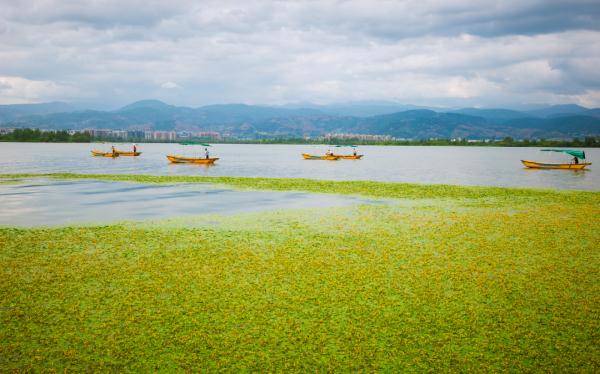 吃烧烤、看大熊猫、玩转大湾区……这些专列，你爱了吗→