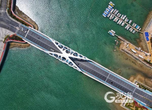 青岛上空“白龙”出没？超多美图上新，来看→