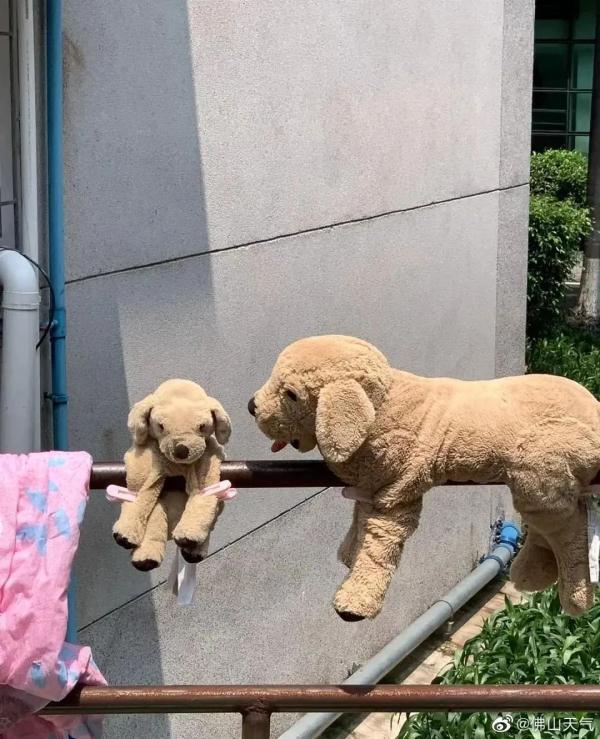 广东久违的阳光将持续多久？