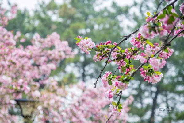 青岛上空“白龙”出没？超多美图上新，来看→