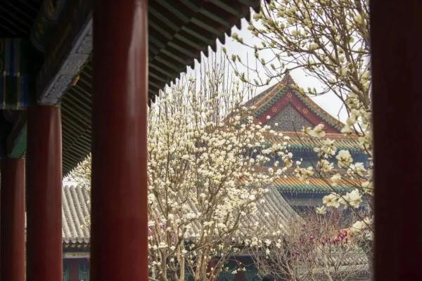 4月10日起，沈阳故宫周一不闭馆啦
