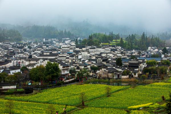 吃烧烤、看大熊猫、玩转大湾区……这些专列，你爱了吗→