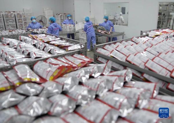 河北青龙：延伸板栗产业链助农增收