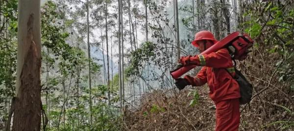 广西河池森林火灾已扑灭，警方通报：已依法传唤1名犯罪嫌疑人