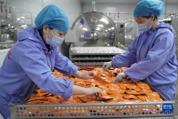 河北青龙：延伸板栗产业链助农增收