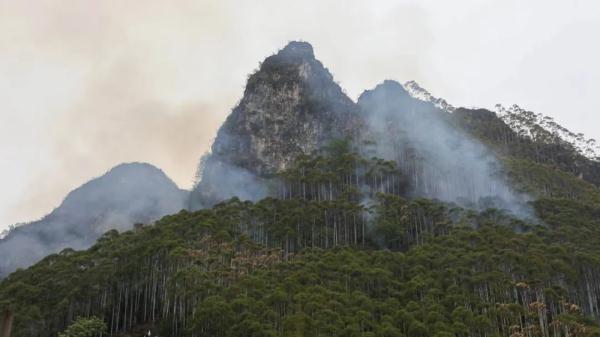 广西河池森林火灾已扑灭，警方通报：已依法传唤1名犯罪嫌疑人