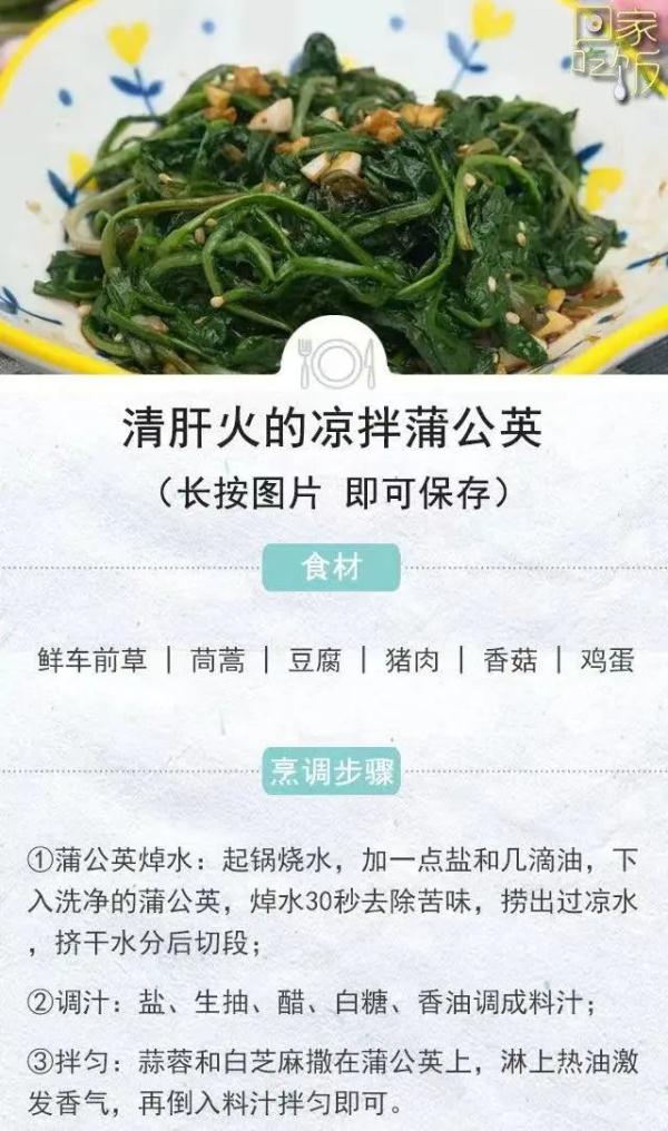 蒲公英全身都是宝,但有“三不喝”! 蒲公英全身都是宝,但有“三不喝”!