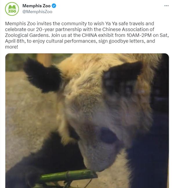 “丫丫”告别派对在美举办，送别活动还包括……