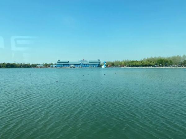 收藏地图！除了玲娜贝儿，来上海迪士尼还能遇见它们→